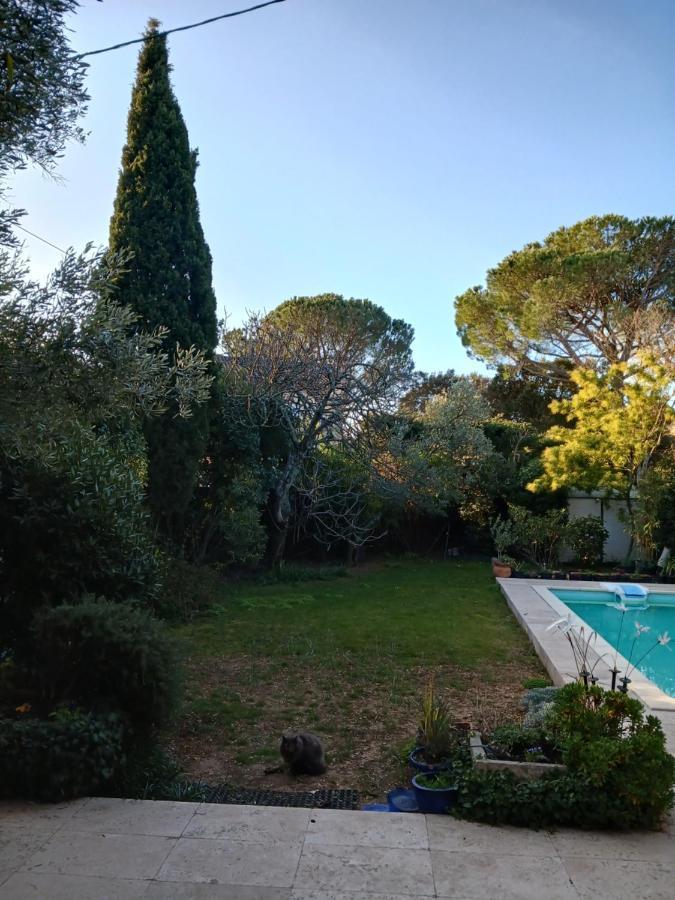 Studio Charmant Et Calme Villeneuve Les Avignon Entree Et Cour Independantes Climatisation Piscine Parking Exterior foto